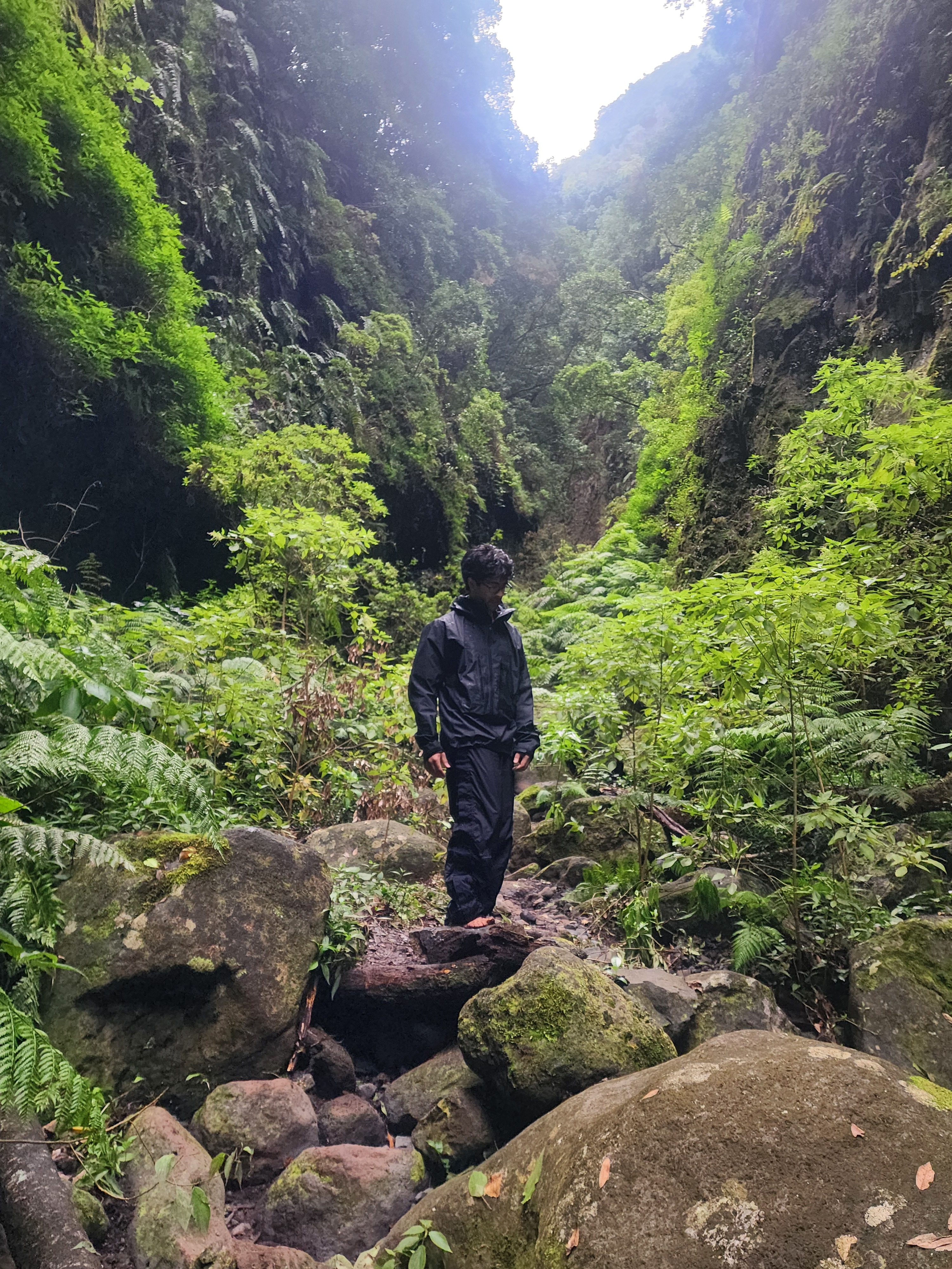 Person standing barefoot on moss-covered boulders inside a lush green rainforest canyon in La Palma